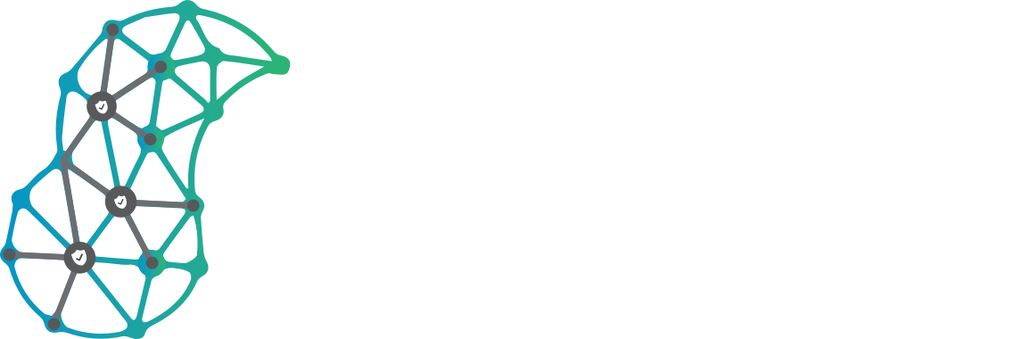 NetSense CyberSecurity Private Limited